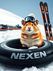 Мы рады, что наши партнеры в этом году использовали камеры NEXEN в тюбингах и начинаем готовиться к следующему сезону